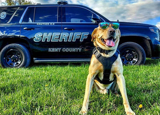 How To Choose The sunglasses For Driving? - Torege® Eyewear